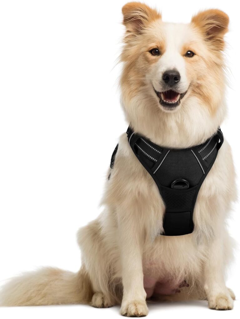 Top Paw Padded Dual-Clip Training Dog Harness