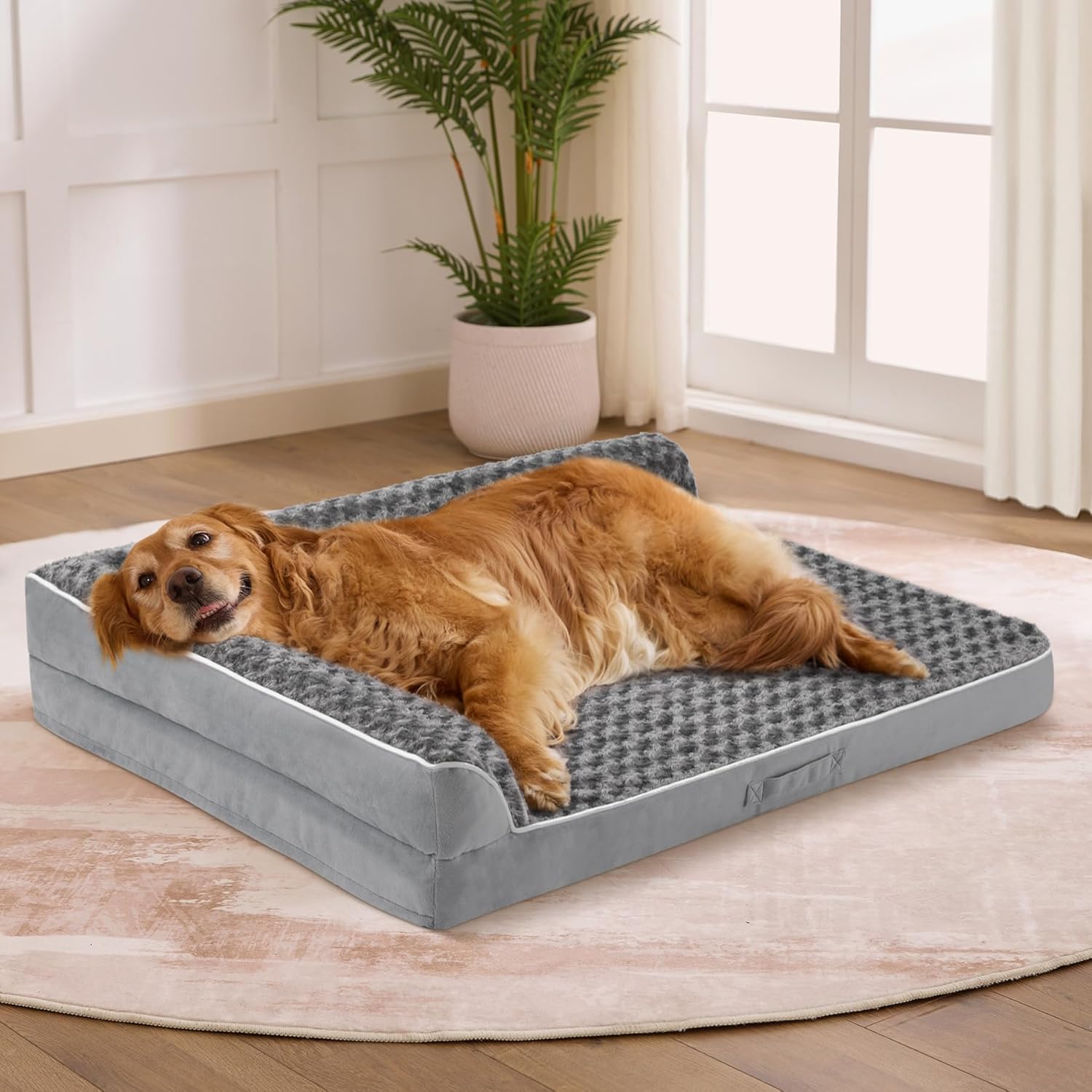 Top Paw Dog Beds Large Sized Dogs